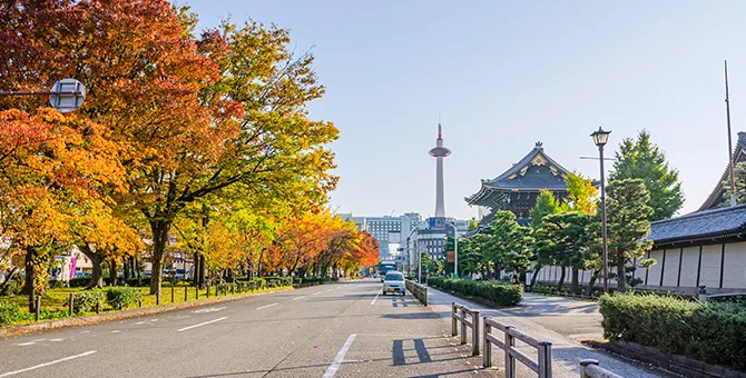 东本愿寺的报恩讲和银杏行道树