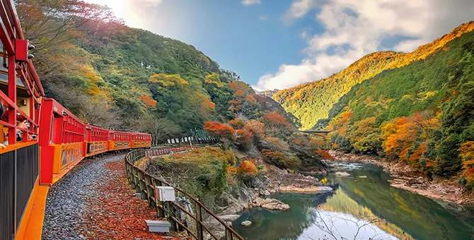 从岚山嵯峨野观光小火车观赏秋叶