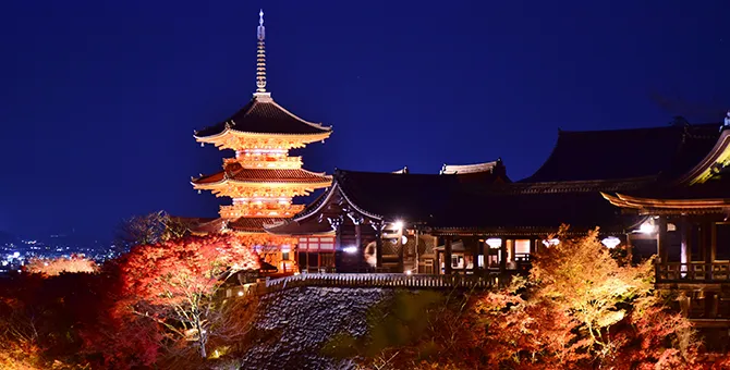 寺院神社佛阁的秋季夜间特别参观・红叶亮灯
