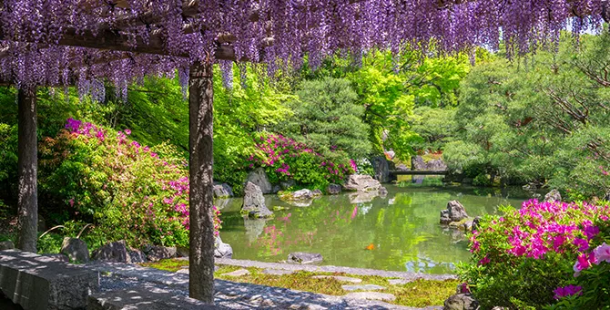 在城南宫赏花之旅