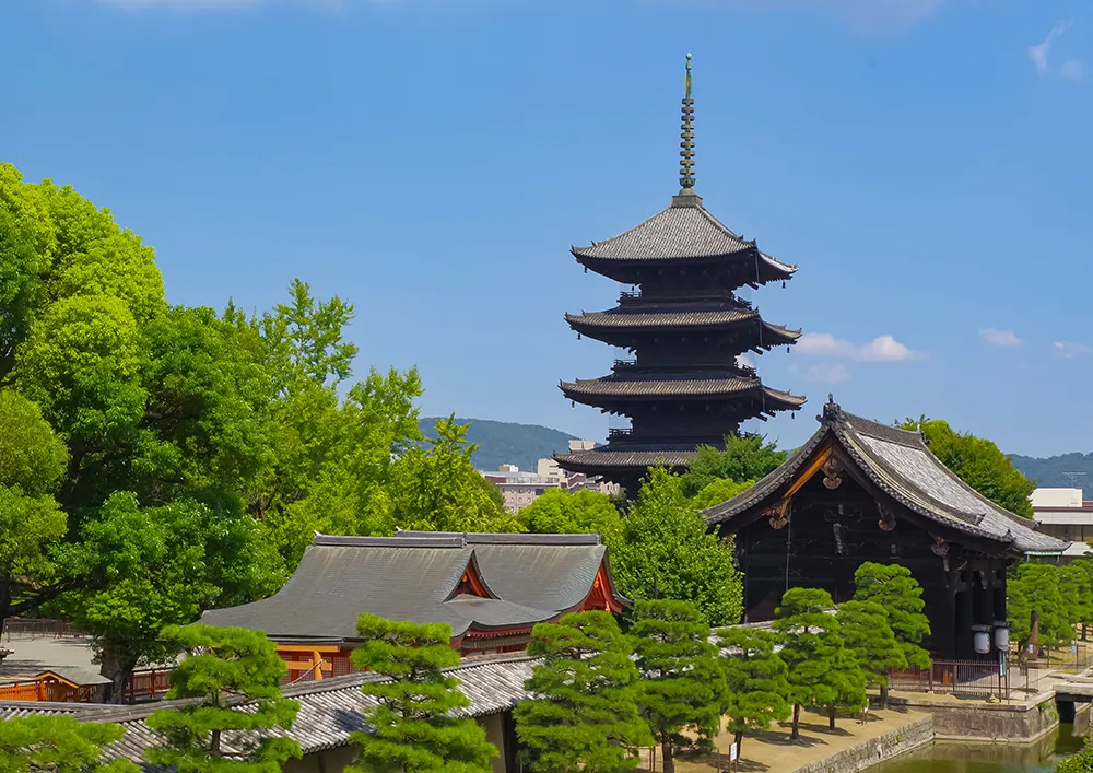 东寺/乘电车约25分钟
