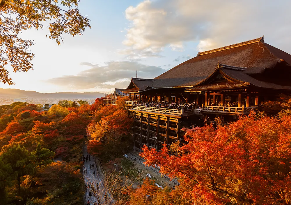 清水寺/市营巴士约30分钟