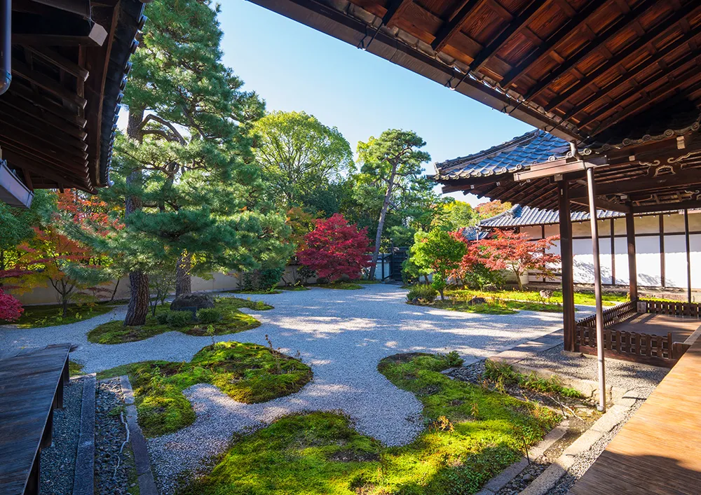 庐山寺/乘地铁约30分钟